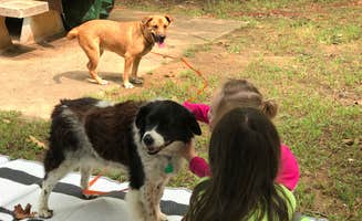 Ron K.'s photo of camping with pets at Birch Cove near Copan, OK