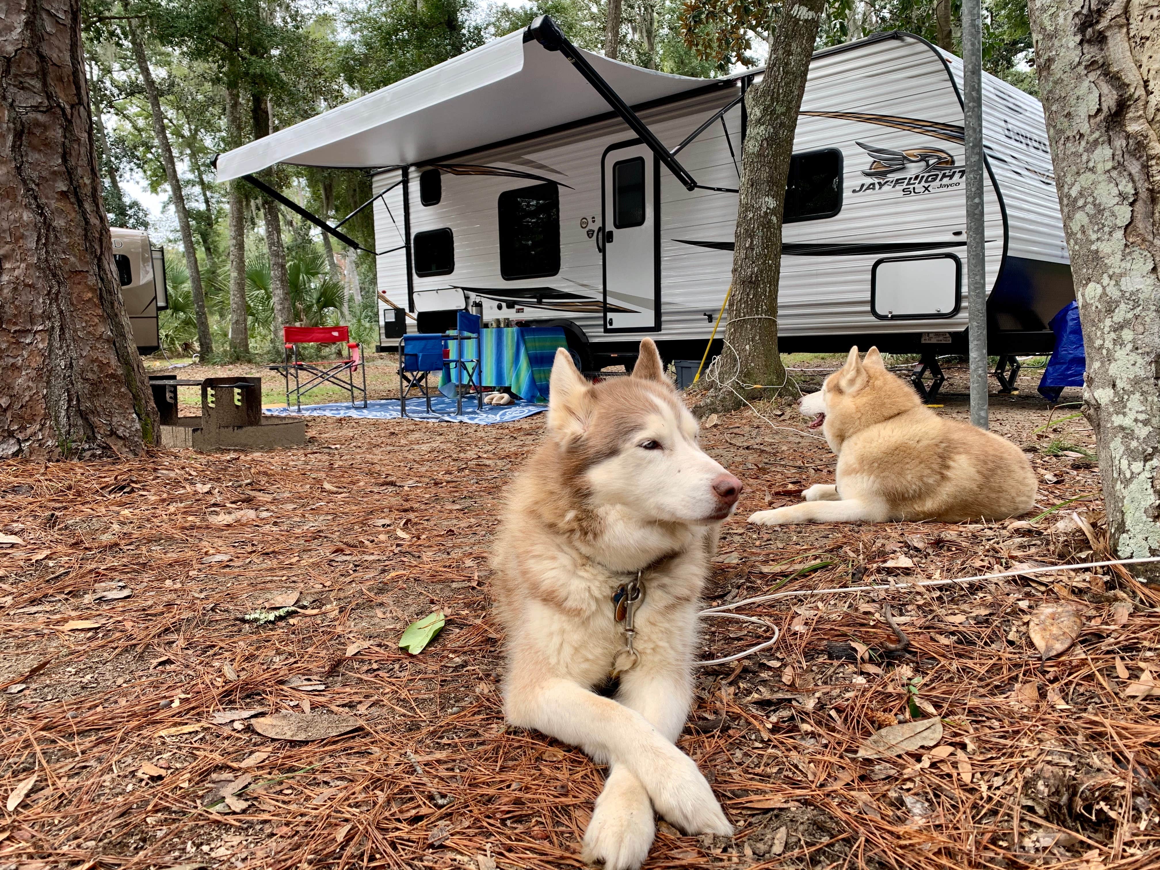 Katie B.'s photo of camping with pets at Fort McAllister State Park Campground near Hinesville, GA