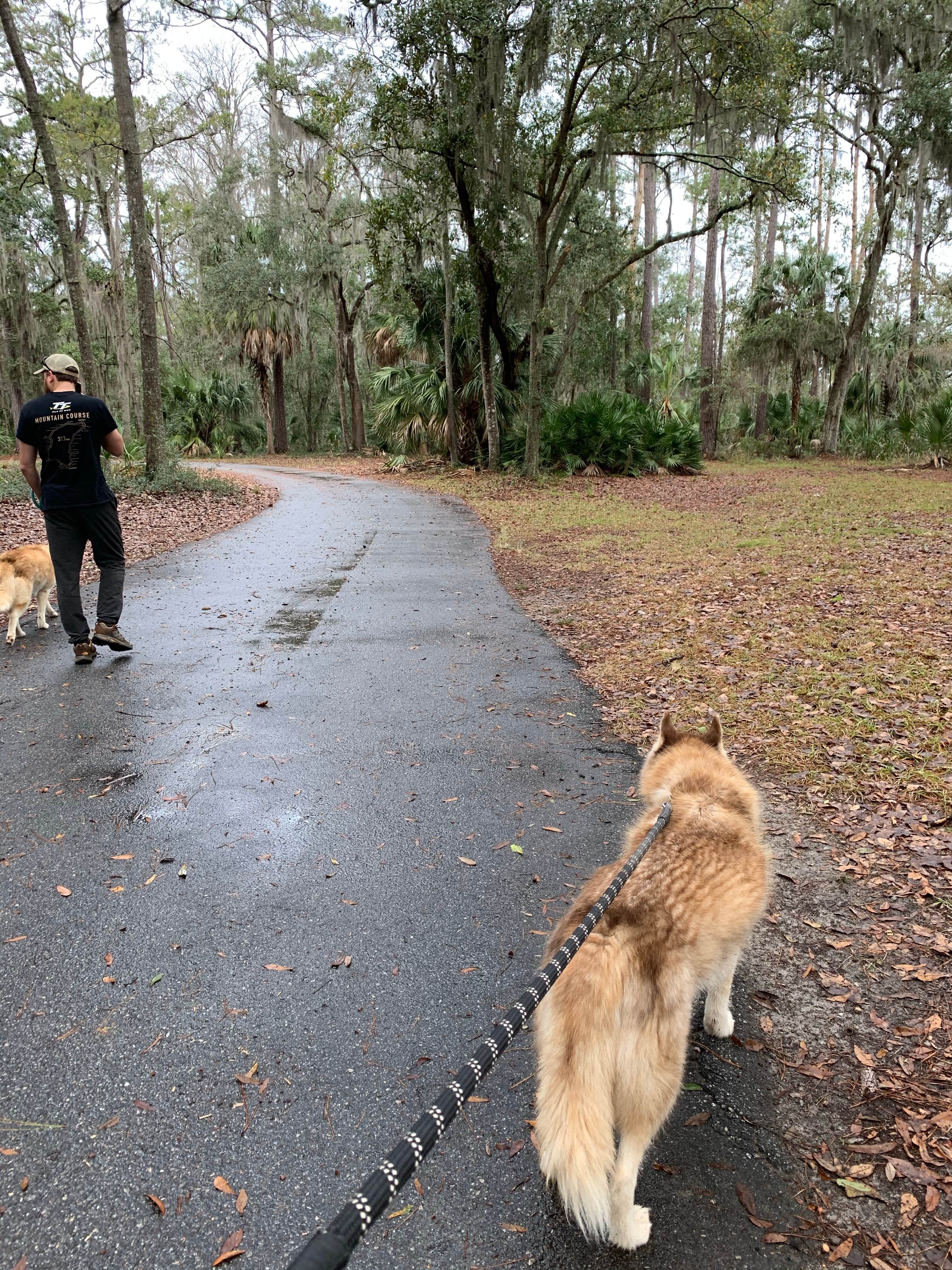 Katie B.'s photo of camping with pets at Fort McAllister State Park Campground near Skidaway Island, GA