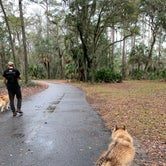 Review photo of Fort McAllister State Park Campground by Katie B., September 18, 2020