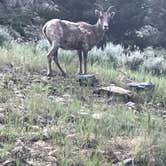 Review photo of Lottis Creek Campground by Larry B., May 17, 2018