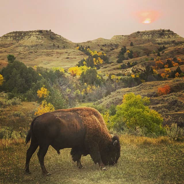 Camper-submitted photo at Medora Campground in North Dakota