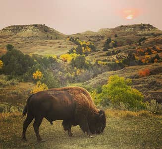 Camper-submitted photo from Medora Campground