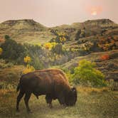 Review photo of Medora Campground by Stefanie Z., September 18, 2020