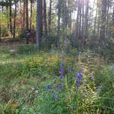 Review photo of Loggers Lake Campground by Kelsie L., September 18, 2020