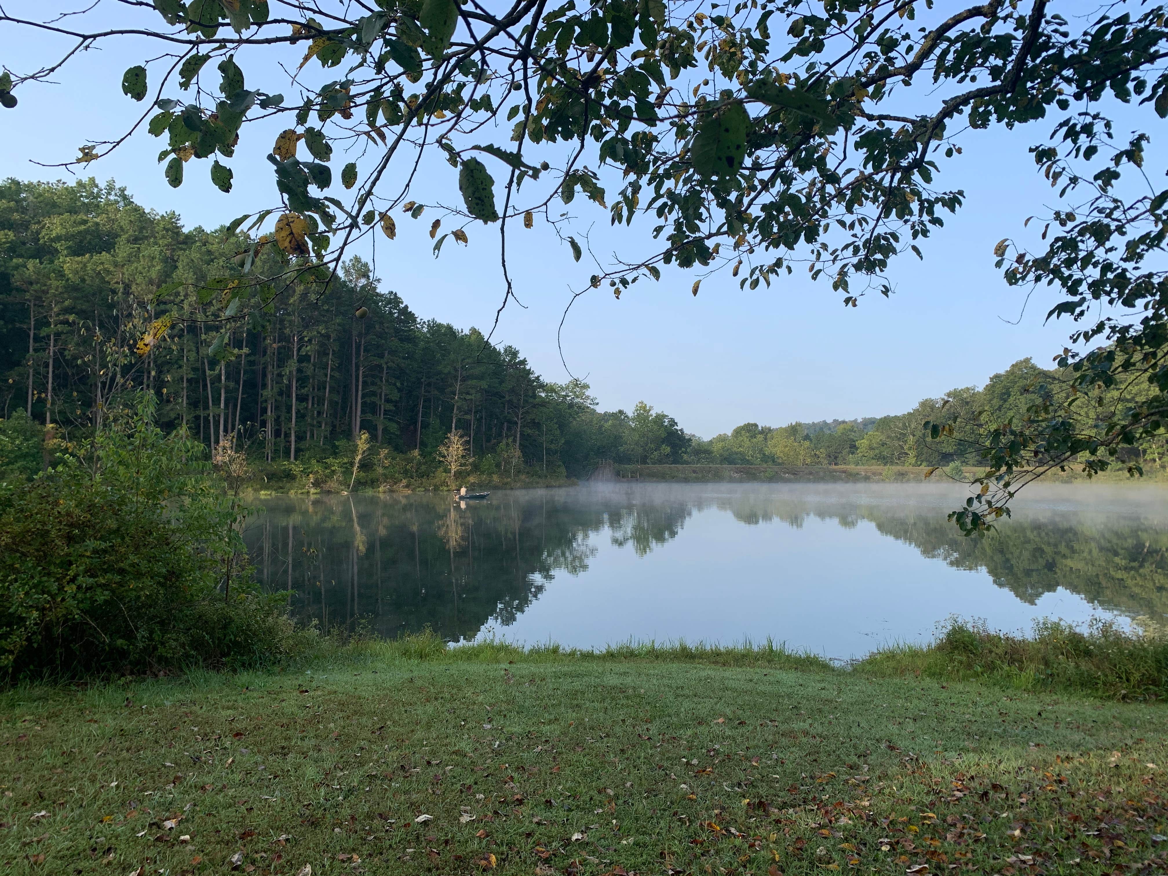 Camper submitted image from Loggers Lake Campground - 5