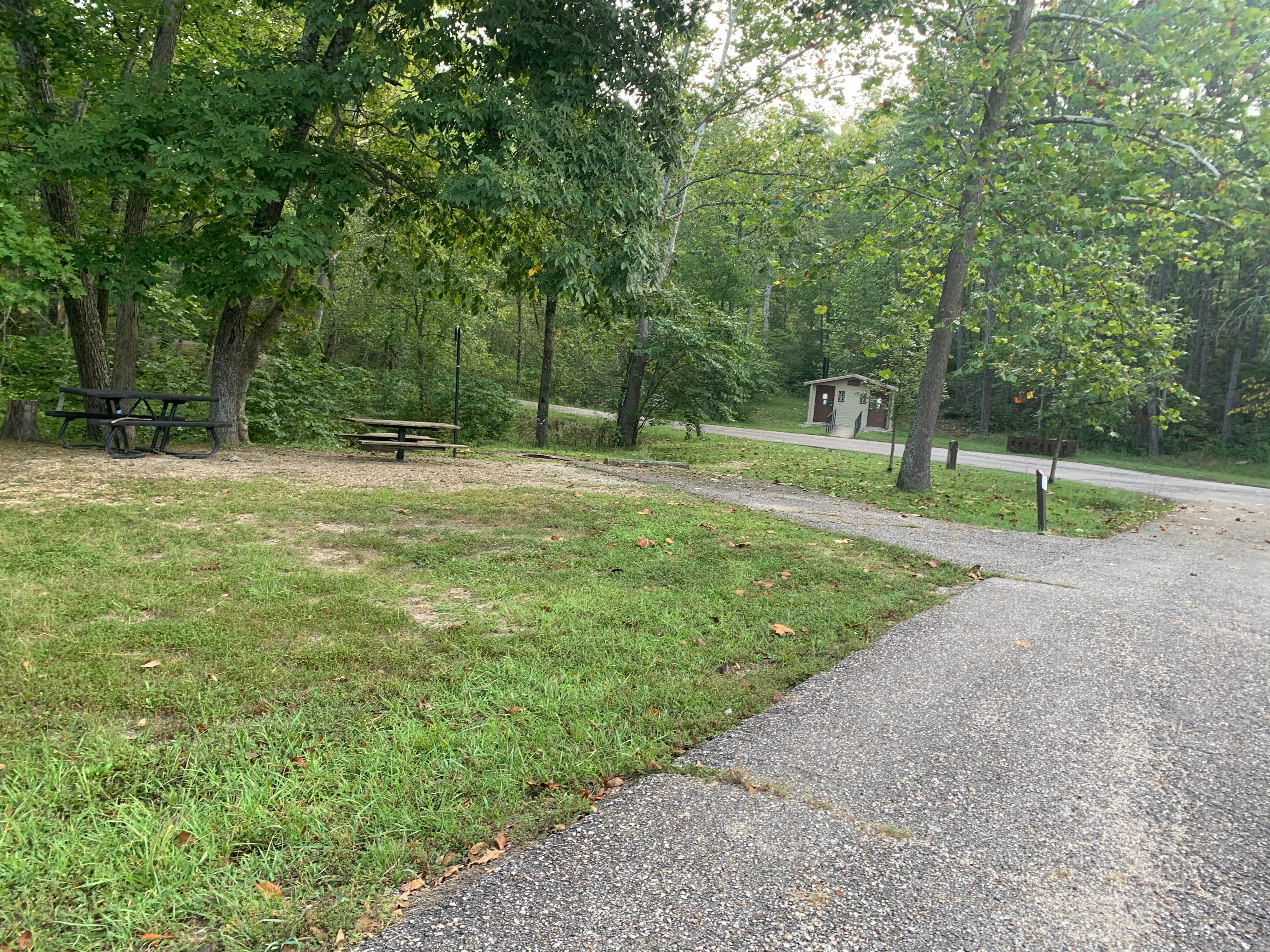 Camper submitted image from Loggers Lake Campground - 2