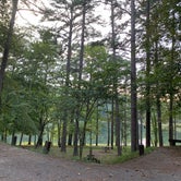 Review photo of Loggers Lake Campground by Kelsie L., September 18, 2020