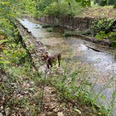 Review photo of Loggers Lake Campground by Kelsie L., September 18, 2020