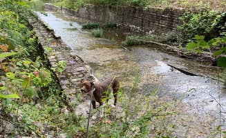 Kelsie L.'s photo of camping with pets at Loggers Lake Campground near Ellington, MO
