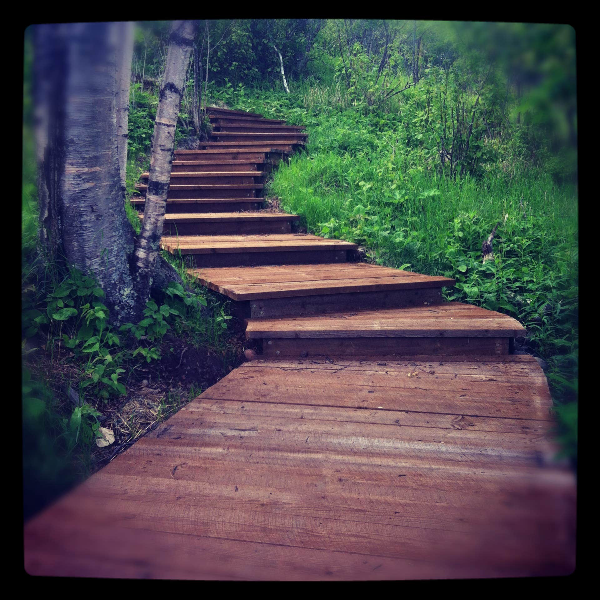 Camper submitted image from Split Rock Lighthouse State Park Campground - 3