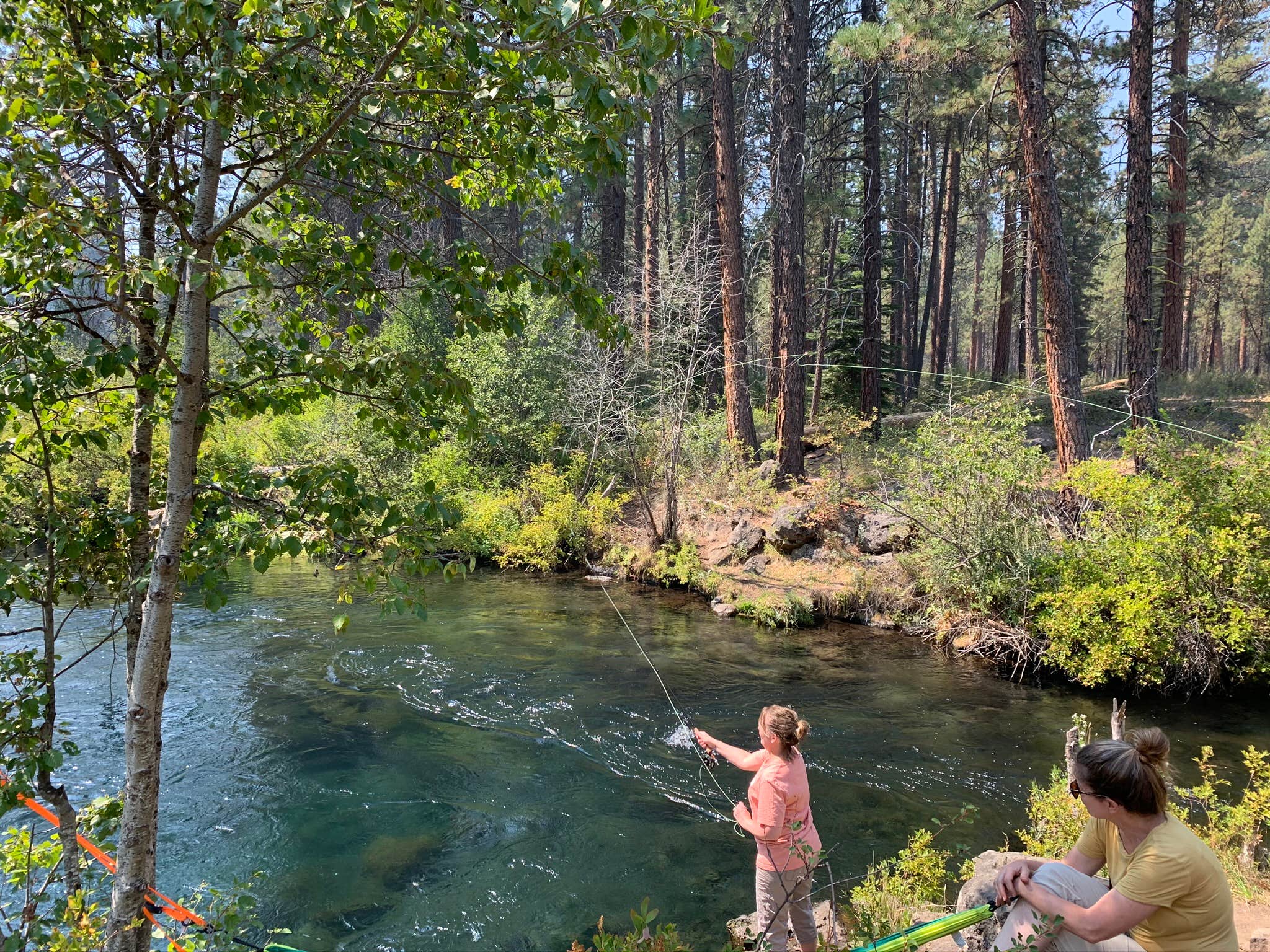 Camper submitted image from Lower Canyon Creek Campground - 5