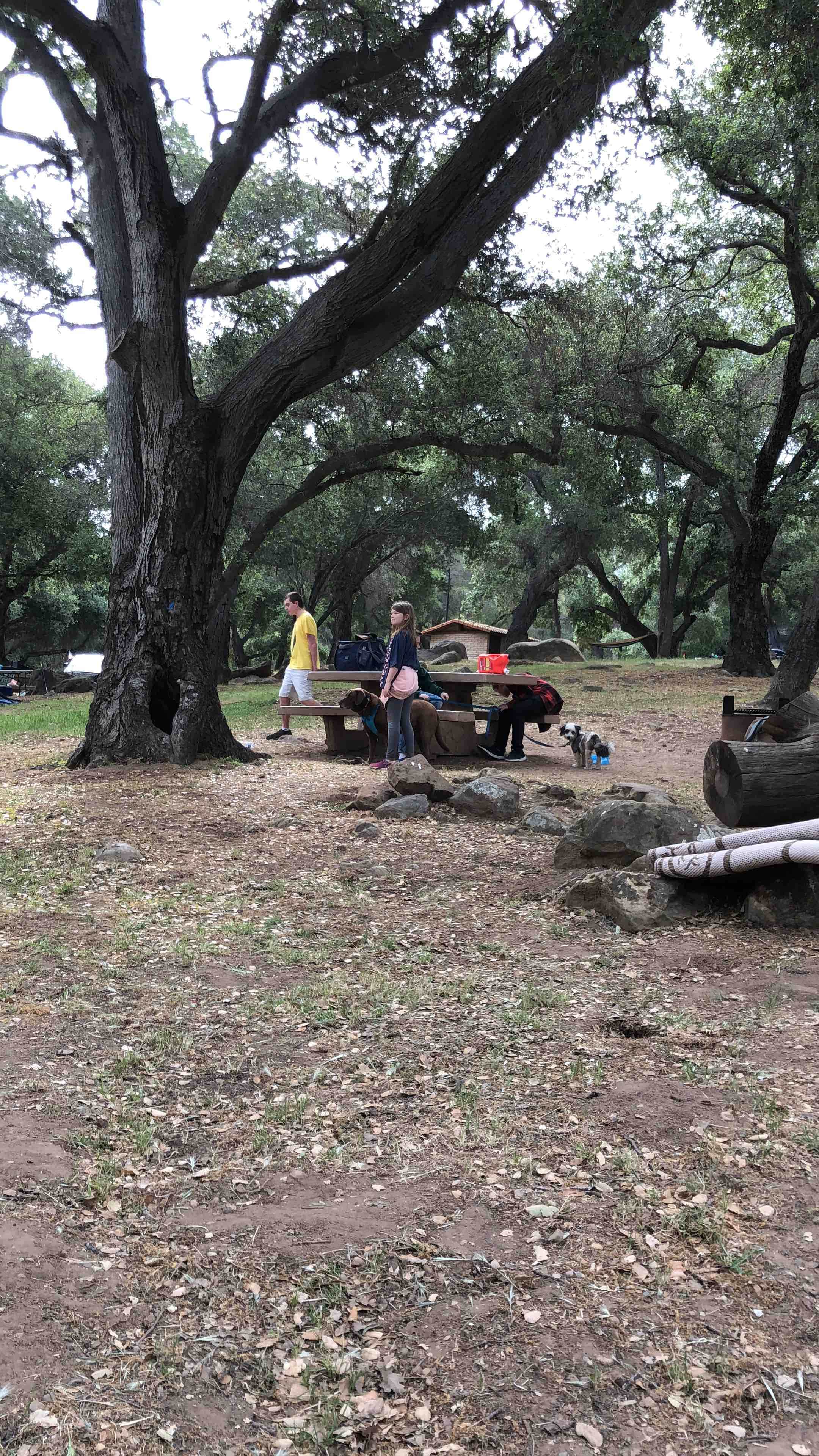 Camper-submitted photo at Los Prietos near Santa Barbara, CA