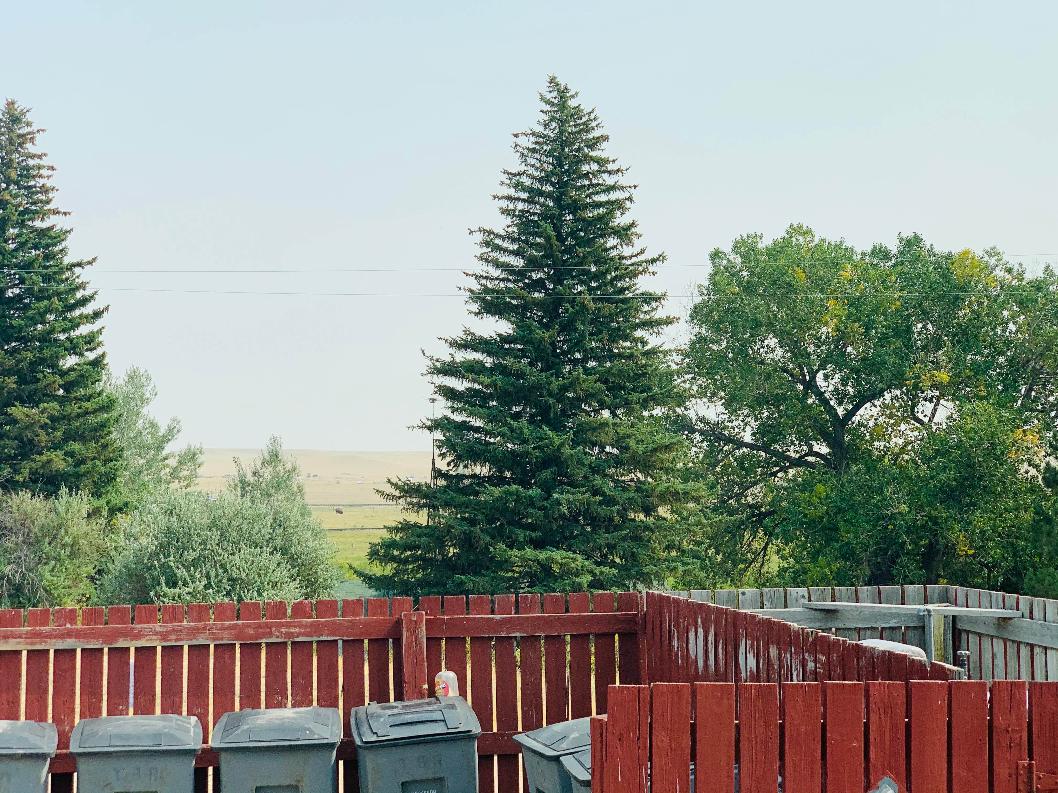 Camper-submitted photo at Terry Bison Ranch near Pine Bluffs, WY