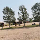 Review photo of Terry Bison Ranch by Penélope F., September 18, 2020