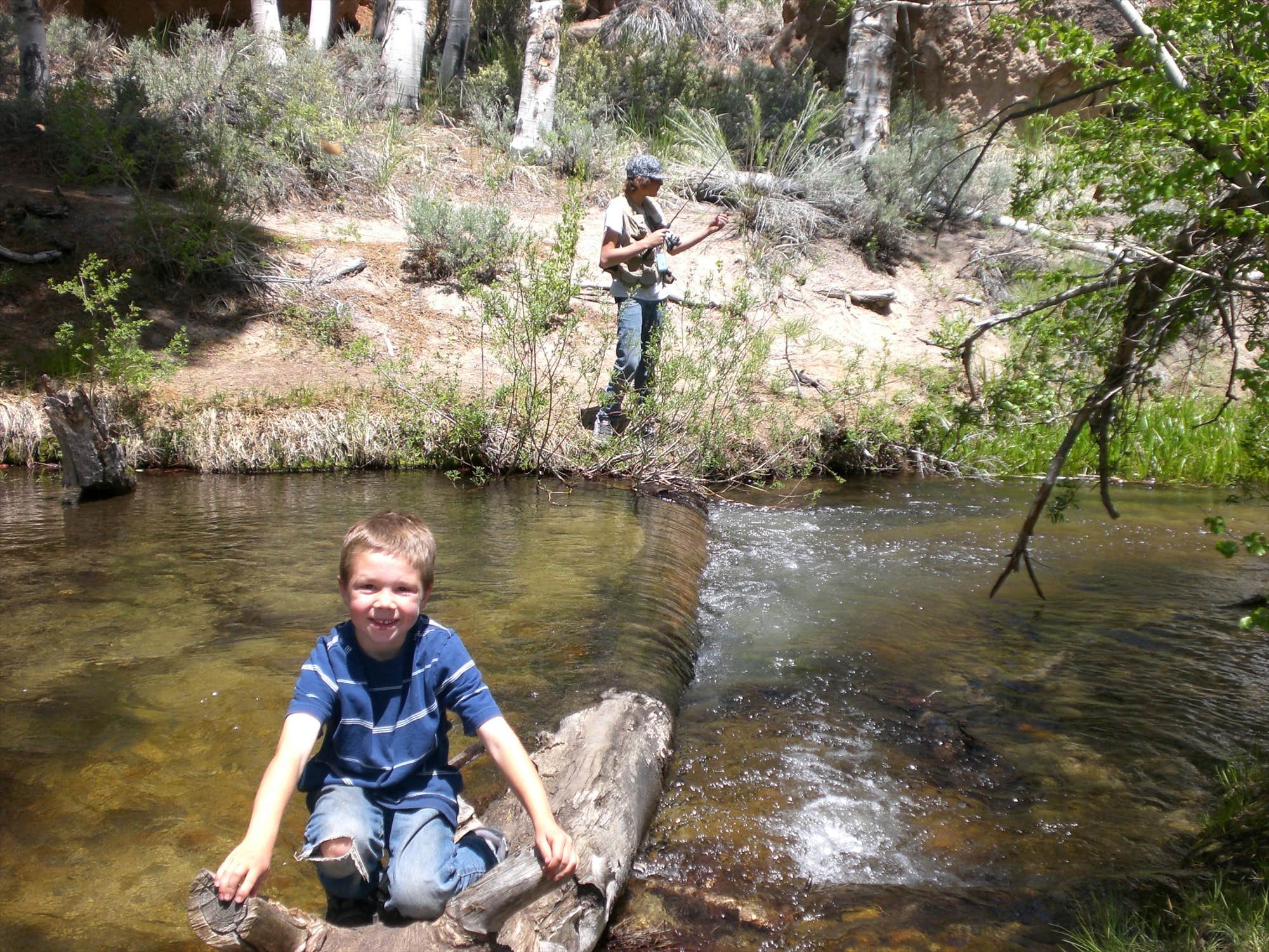 Camper submitted image from Bishop Park Group (Ca) — Inyo National Forest - 4