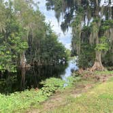 Review photo of Blue Cypress County Park by B+J S., September 18, 2020