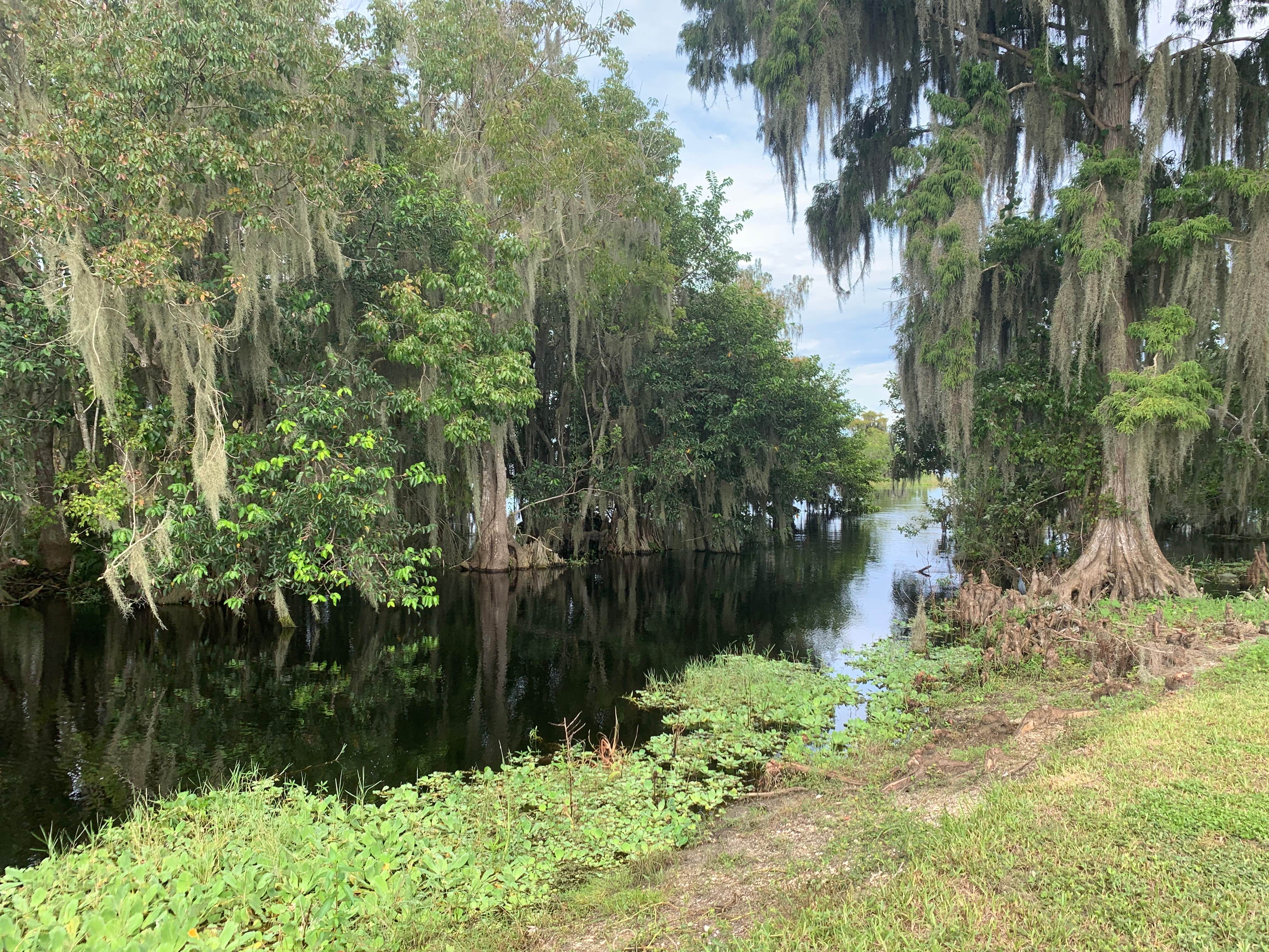 Camper submitted image from Blue Cypress County Park - 3