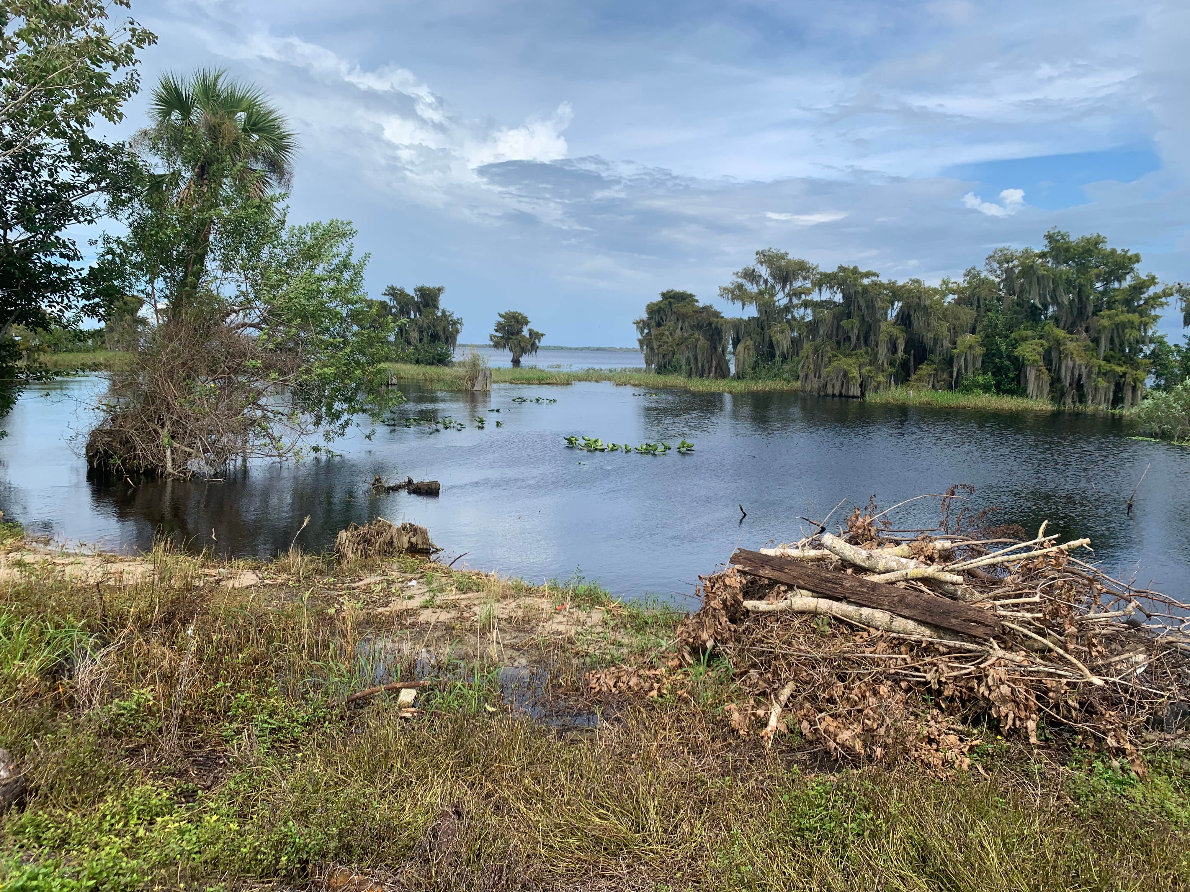 Camper-submitted photo at Blue Cypress County Park near Sebastian, FL