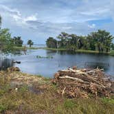 Review photo of Blue Cypress County Park by B+J S., September 18, 2020