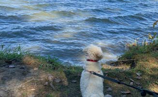 Jennie S.'s photo of camping with pets at Lake Hudson Recreation Area near Hillsdale, MI