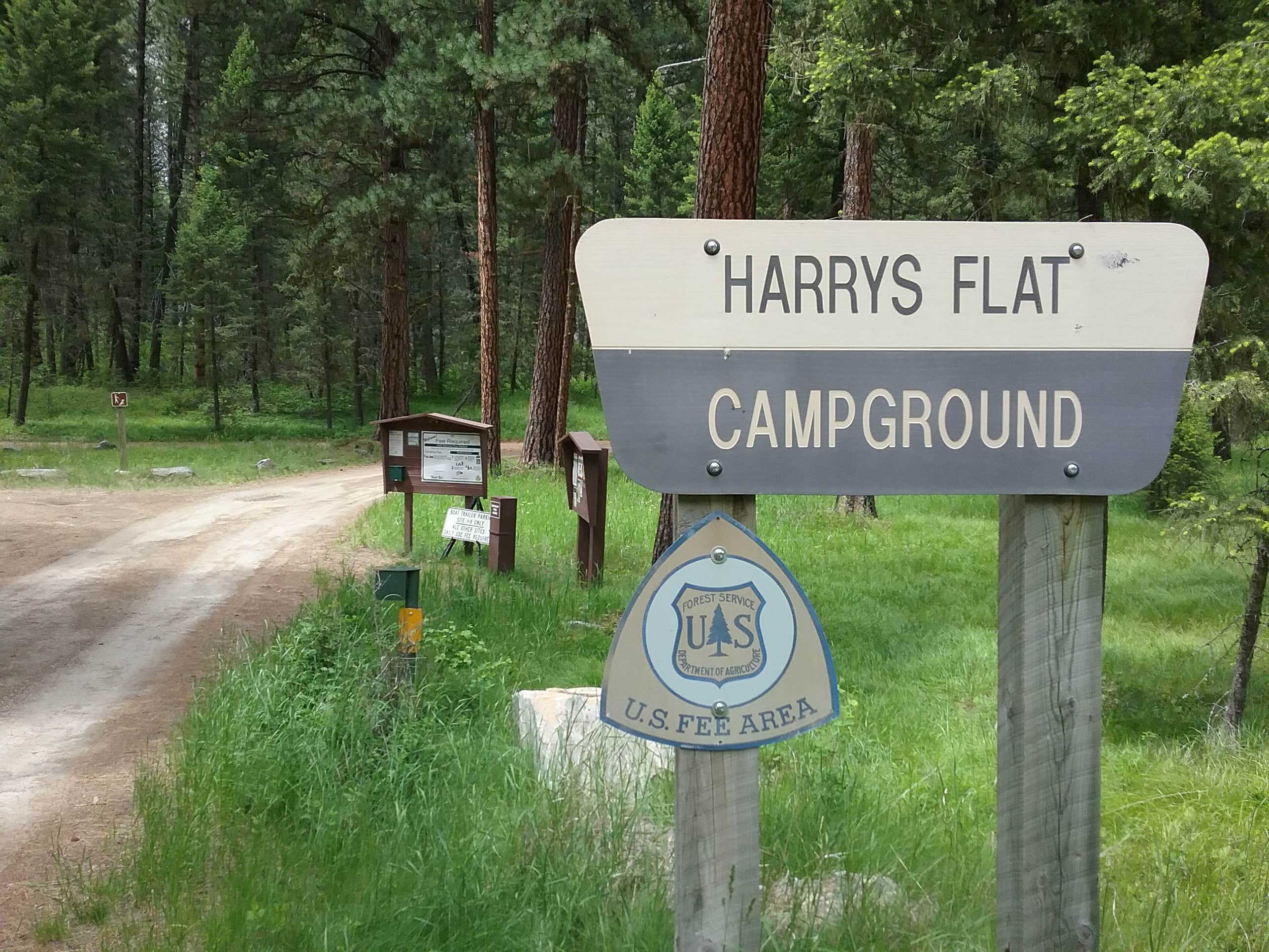 Camper submitted image from Harrys Flat - 2