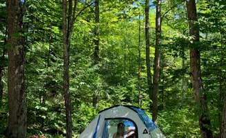 Jennie S.'s photo of tent camping at Union River Rustic Outpost Camp — Porcupine Mountains Wilderness State Park near Land o Lakes, WI
