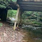 Review photo of Union River Rustic Outpost Camp — Porcupine Mountains Wilderness State Park by Jennie S., September 18, 2020