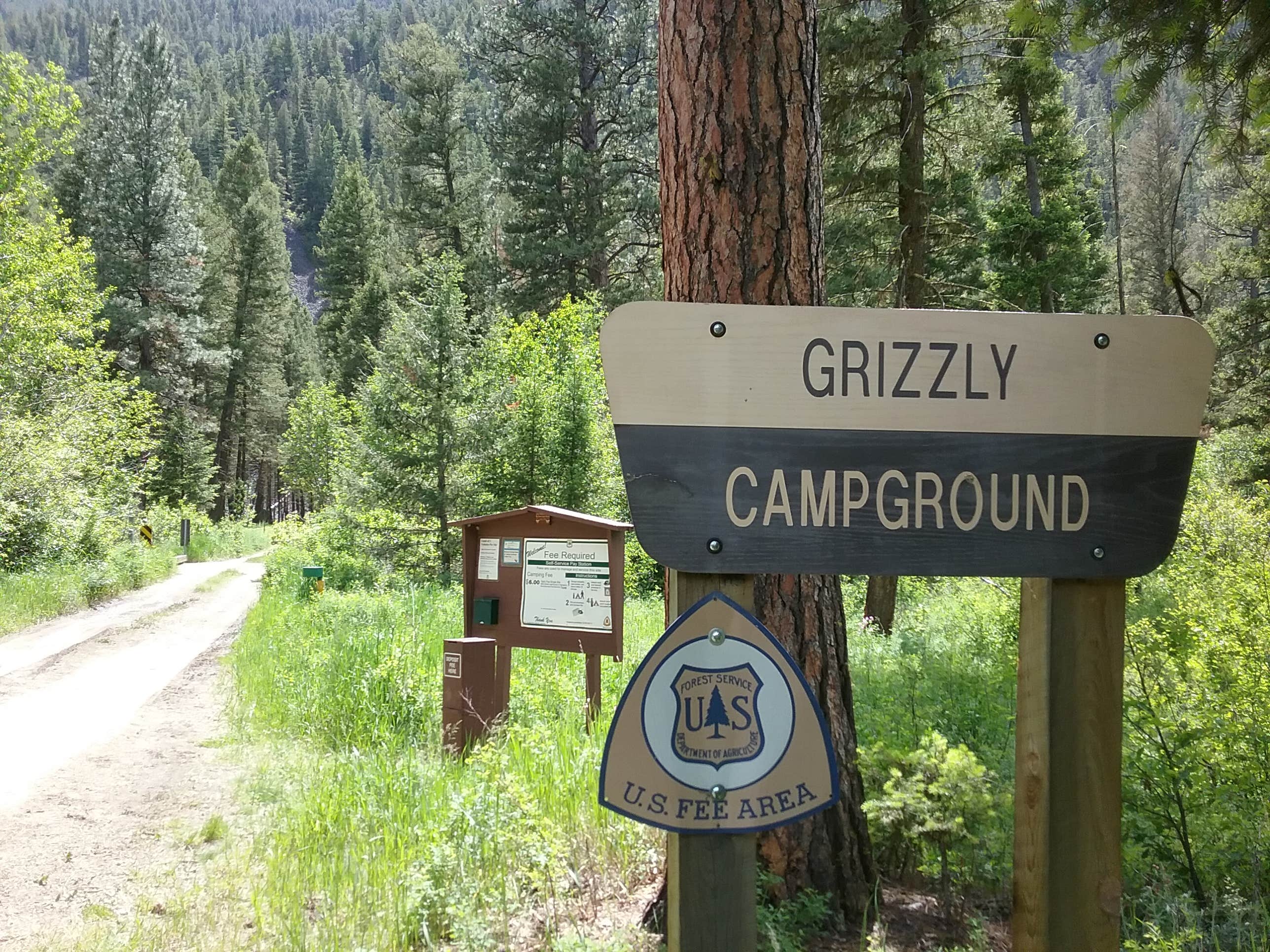 Montana's Grizzly Campground: Where the Wild Things Are (And You Can Too!)