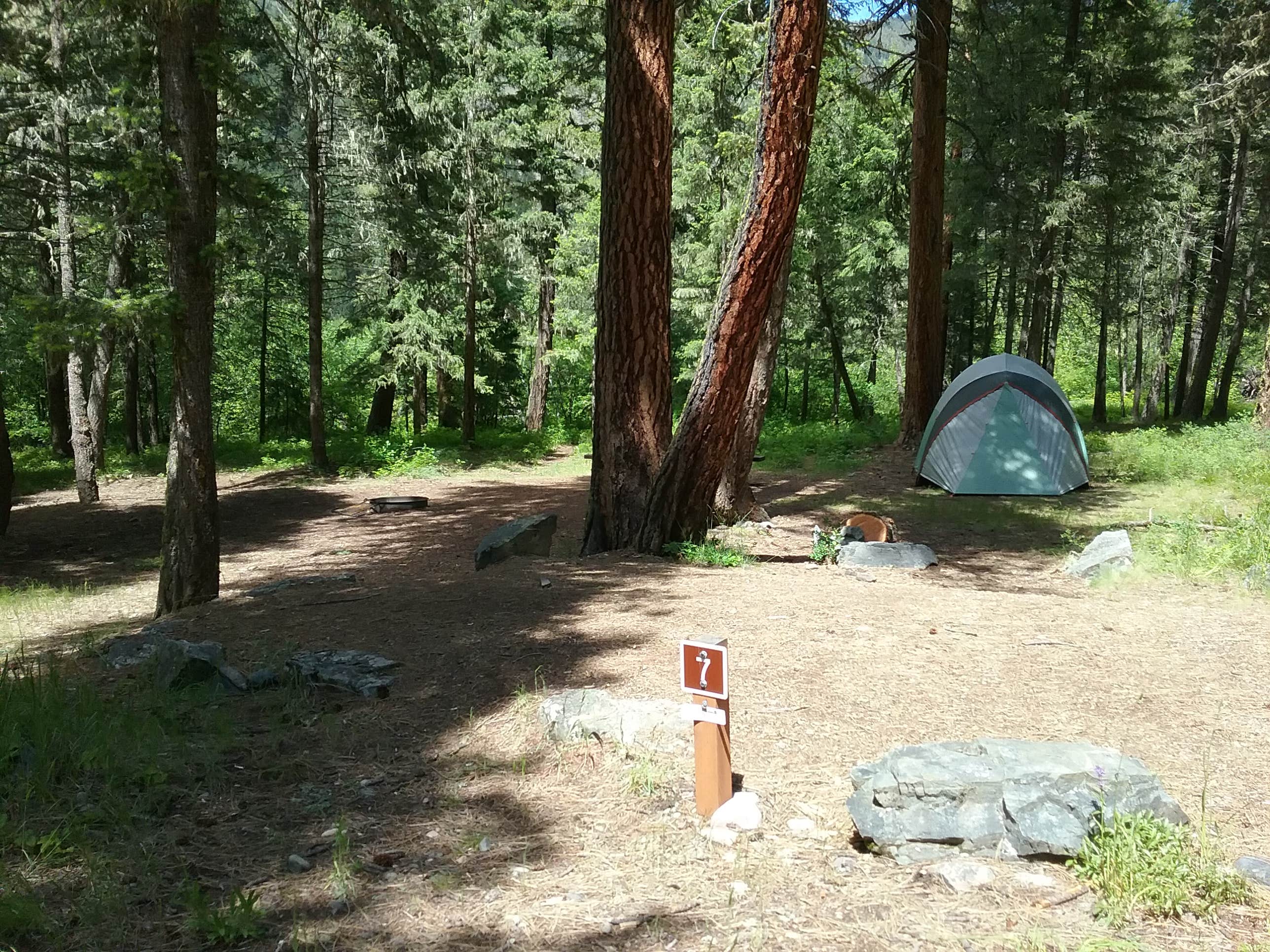 Camping near Lolo National Forest Harry's Flat Campground: Grizzly, Clinton, Montana