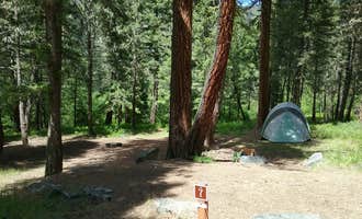 Camping near Harrys Flat: Grizzly, Clinton, Montana