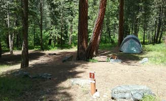 Dexter I.'s photo at Grizzly near Drummond, MT