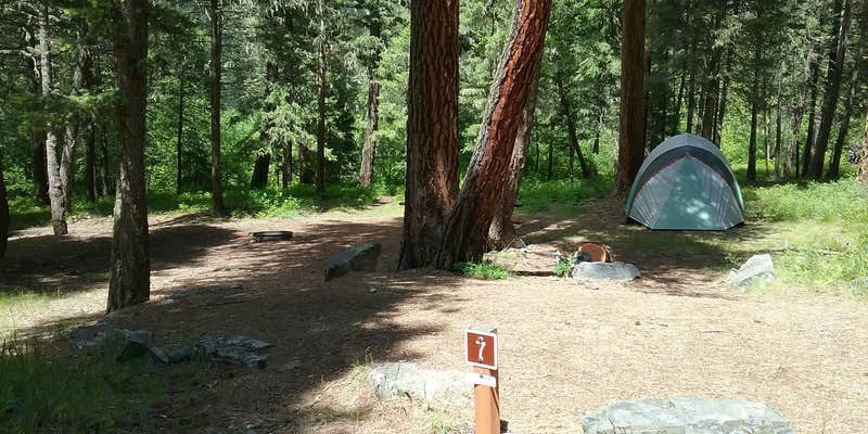 Camper submitted image from Grizzly