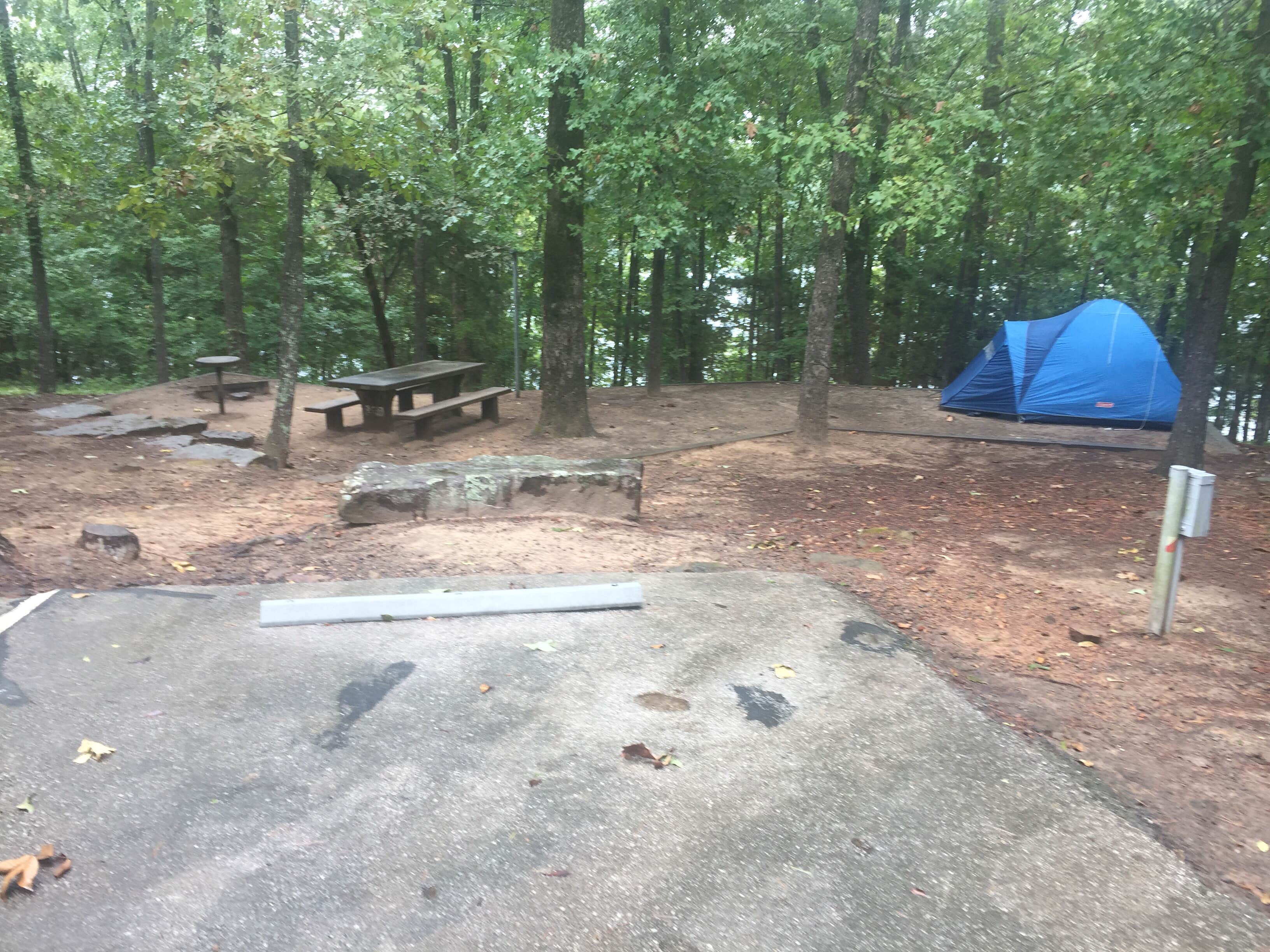 Arkansas F.'s photo at Dam Site Lake Campground near Beaver Lake