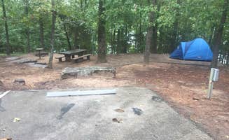 Arkansas F.'s photo at Dam Site Lake Campground near Beaver Lake