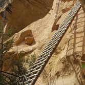 Review photo of Morefield Campground — Mesa Verde National Park by Erica H., September 16, 2020