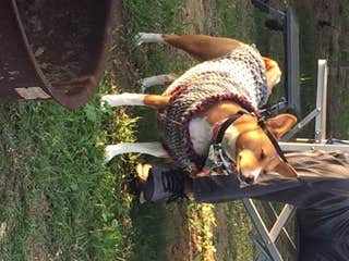 Camper-submitted photo at Coastal Dunes RV Park & Campground near Avilla Beach, CA