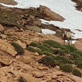 Review photo of Pikes Peak Resort by Erica H., September 18, 2020