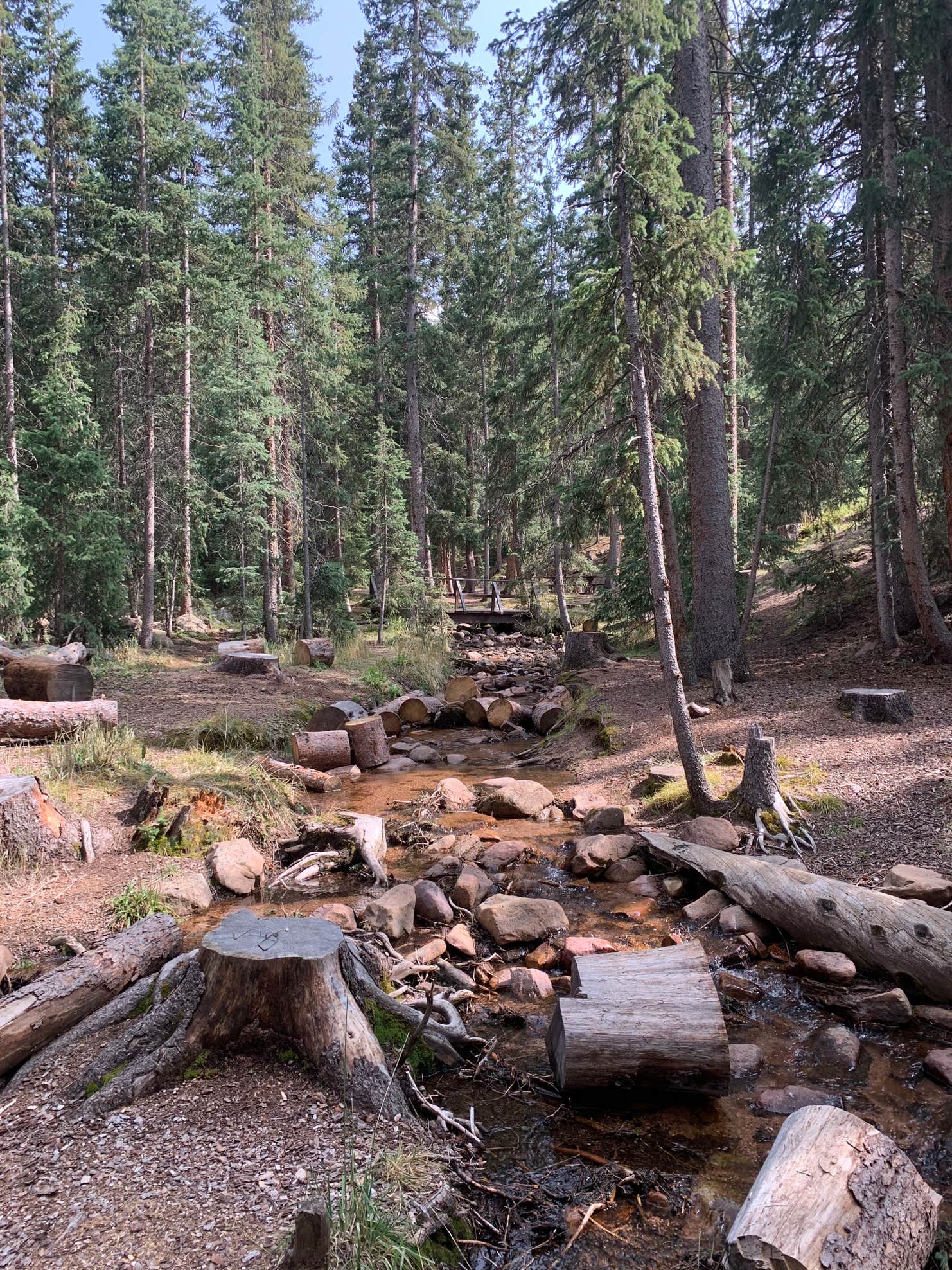 The Crags Camping The Dyrt