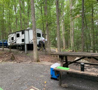 Camper-submitted photo from Lackawanna State Park Campground