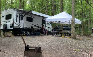 Laure D.'s photo at Locust Lake State Park Campground near Lenhartsville, PA