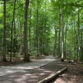 Review photo of Locust Lake State Park Campground by Laure D., September 19, 2020