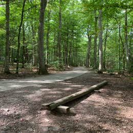 Locust Lake State Park Campground