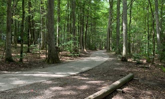 Camping near Echo Valley Campground: Locust Lake State Park Campground, Mahanoy City, Pennsylvania