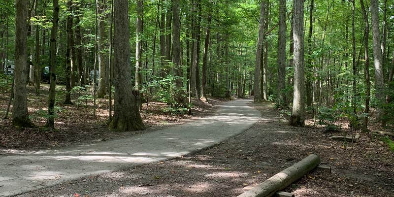 Camper submitted image from Locust Lake State Park Campground