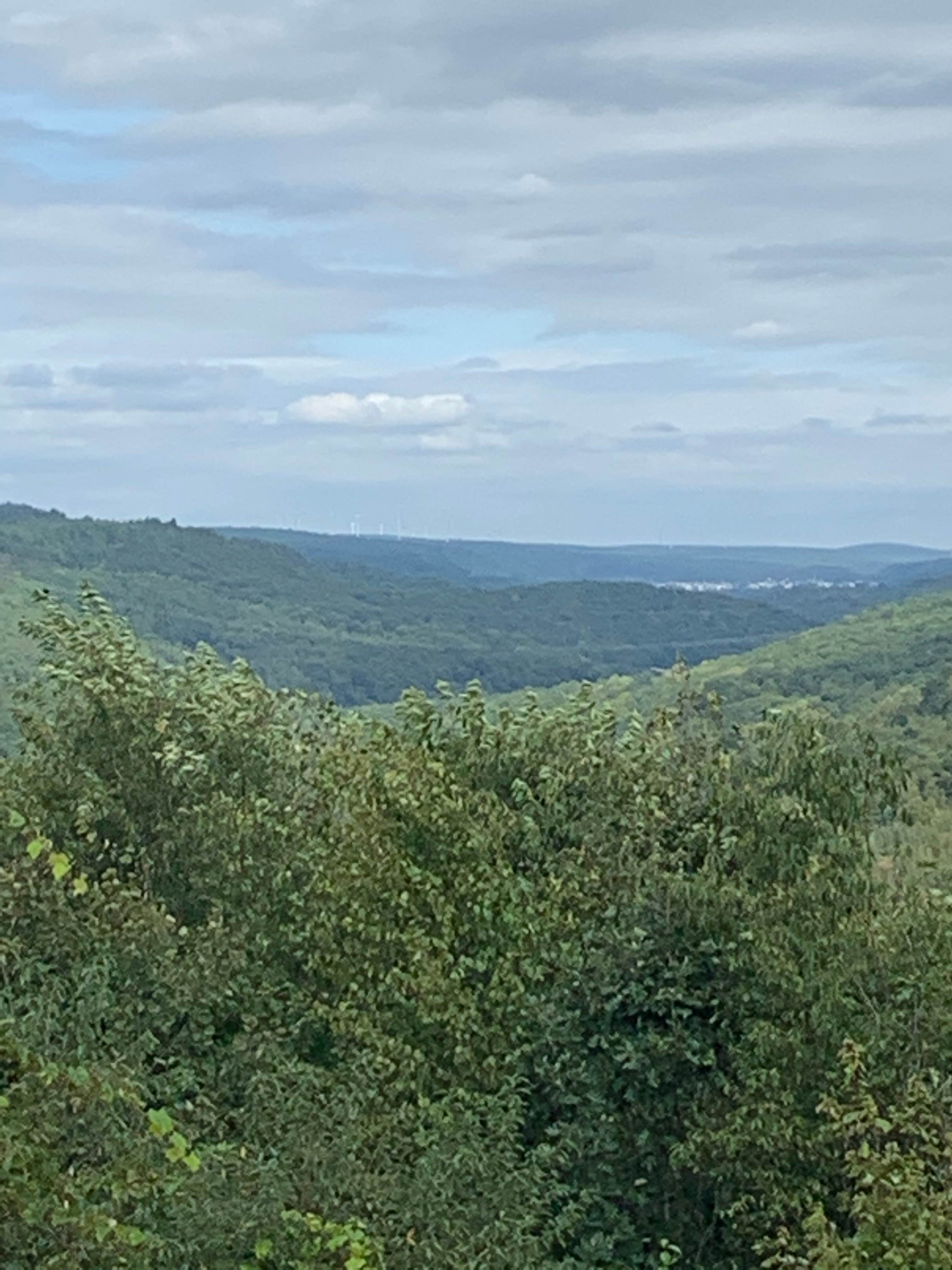 View All