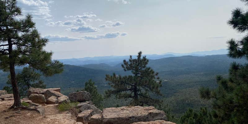 Camper submitted image from Mogollon RV Park