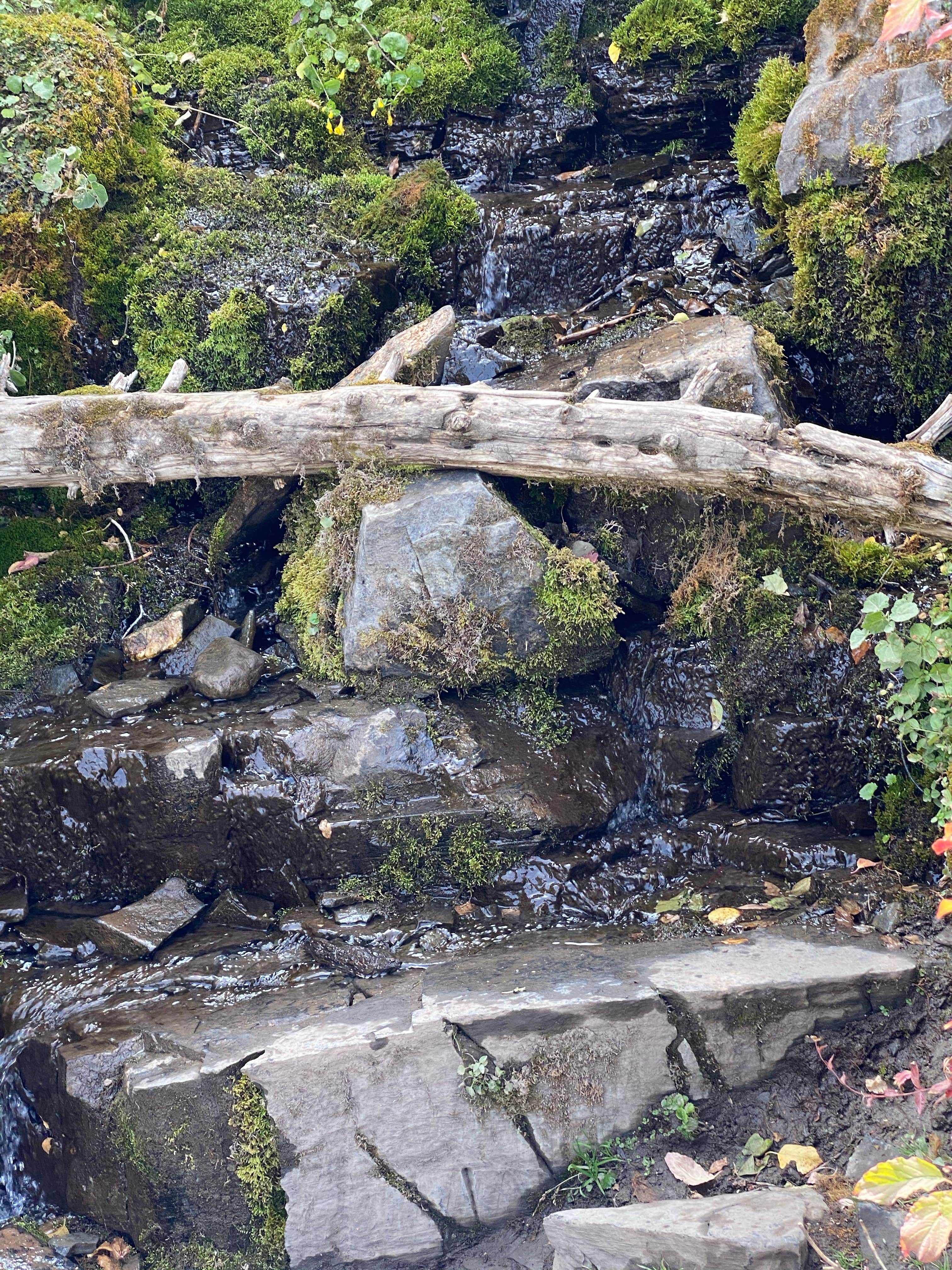 Camper-submitted photo at Timpooneke near Wallsburg, UT