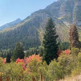 Review photo of Rainbow Park Campground — Dinosaur National Monument by Jeff K., September 19, 2020