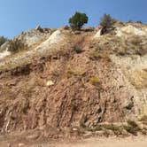 Review photo of Rainbow Park Campground — Dinosaur National Monument by Jeff K., September 19, 2020